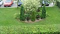 DSC03173.JPG